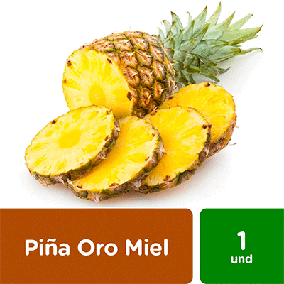 pina-oro-miel-x-1-und-3991