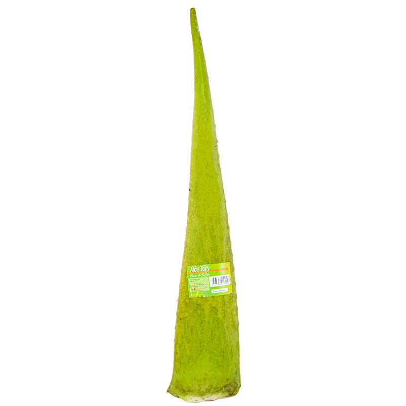 hoja-de-sabila-aloe-tory-x-1-und-6826
