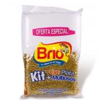 kit-esponja-brio-oro-plata-x-1-und-multiusos-7701027920120