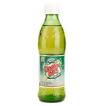 gaseosa-canada-dry-ginger-ale-x-300-ml-7702090020922
