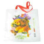 bolsa-ecologica-megatiendas-lona-x-1-und-7706303001647