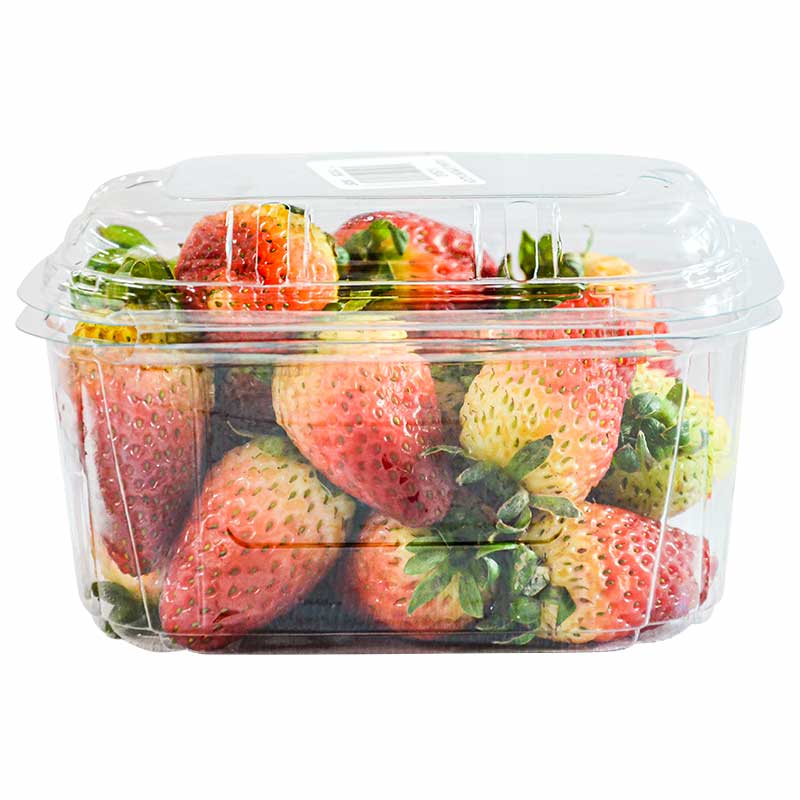 fresa-domo-x-250-g-7707235090037
