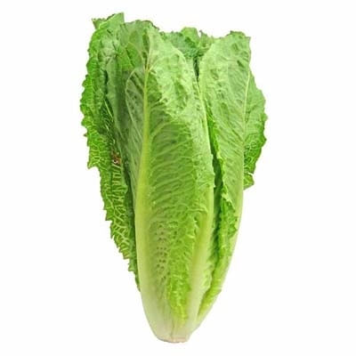 lechuga-romana-x-1-und-7707291570047