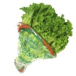 lechuga-verde-crespa-camsal-bolsa-x-200-g-7707373030049