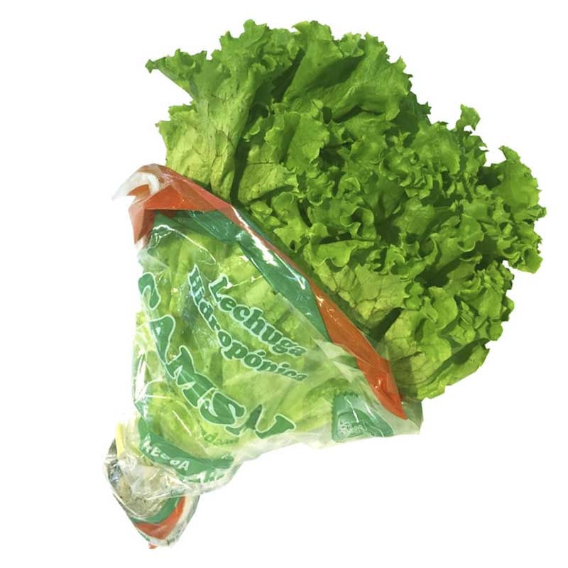 lechuga-verde-crespa-camsal-bolsa-x-200-g-7707373030049