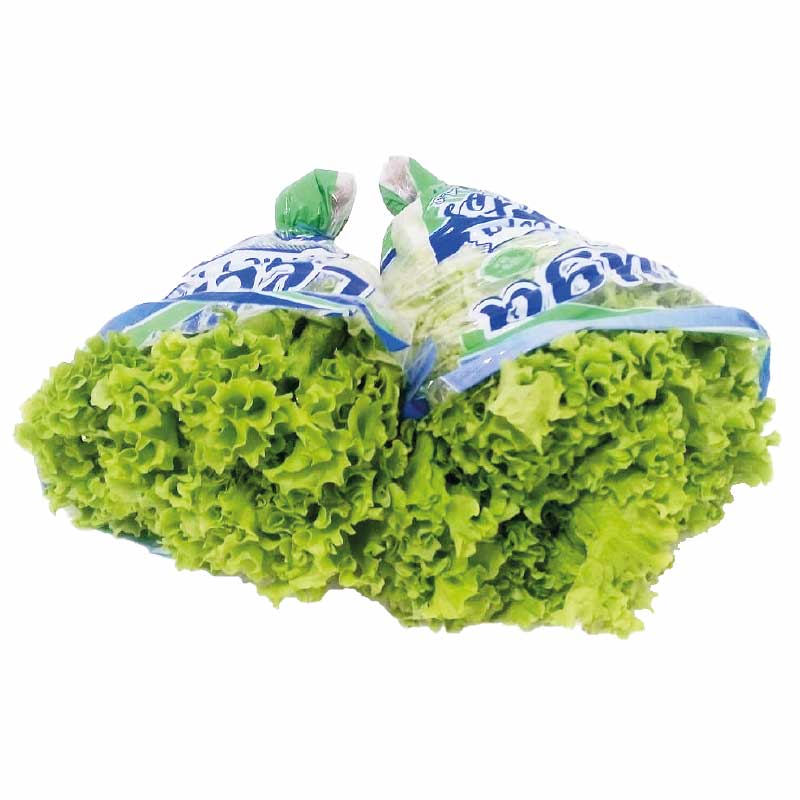 lechuga-hidroponica-selecta-x-1-und-7709527032398
