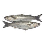 pescado-lebranche-x-500-g-lb2418366