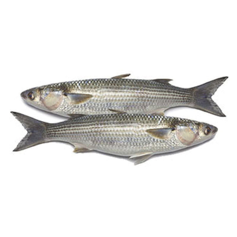 Pescado Lebranche x 500 g - Supermercado Megatiendas