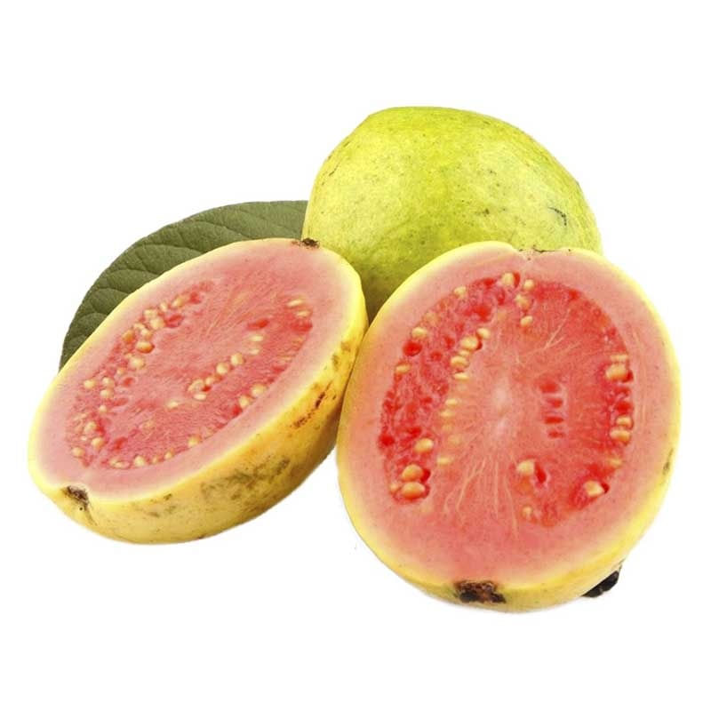 guayaba-x-500-g-lb3816