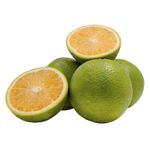 naranja-valencia-selecta-x-500-g-lb3913
