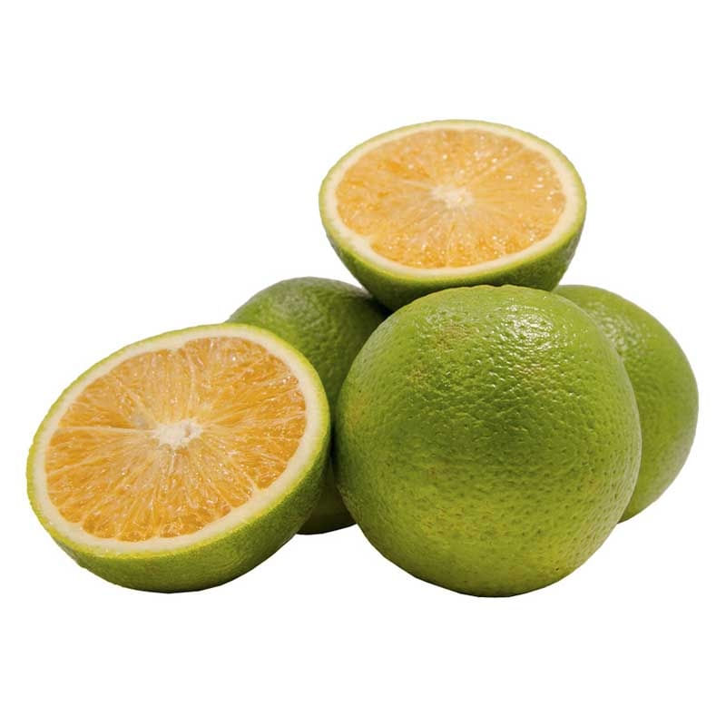 naranja-valencia-selecta-x-500-g-lb3913