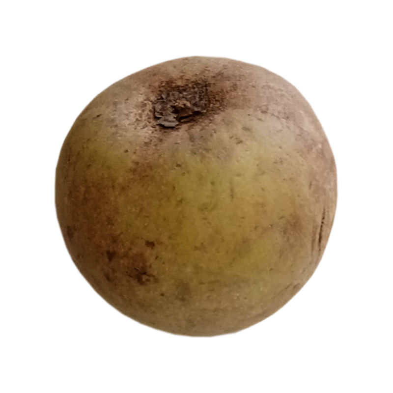 nispero-selecto-x-500-g-lb3923
