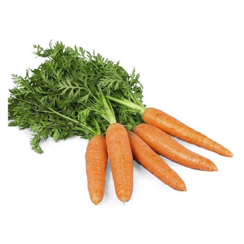 zanahoria-selecta-x-500-g-lb4048