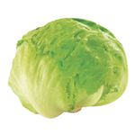 lechuga-x-500-g-lb4055