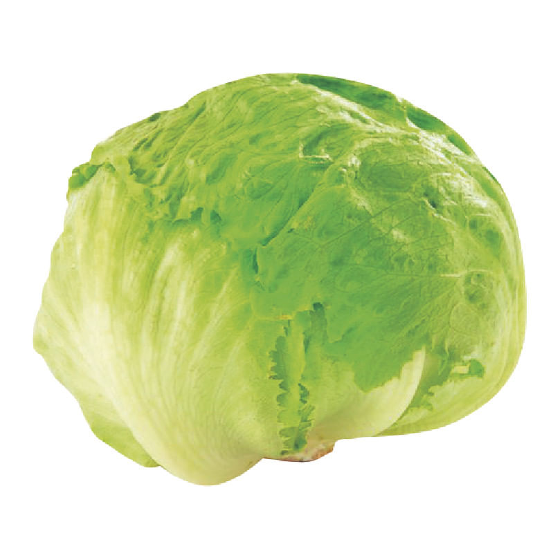 lechuga-x-500-g-lb4055