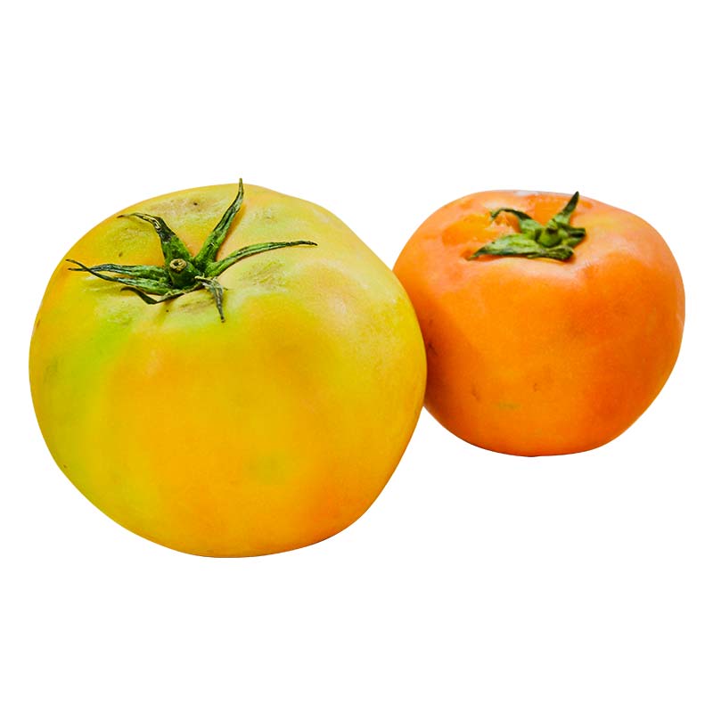 tomate-milano-x-500-g-lb4058
