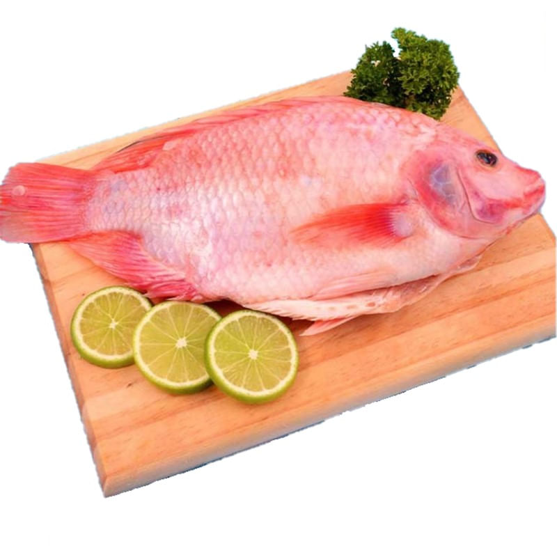 mojarra-roja-x-500-g-lb4767