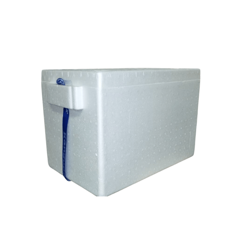nevera-kangupor-26-l-x-1-und-7808304268279