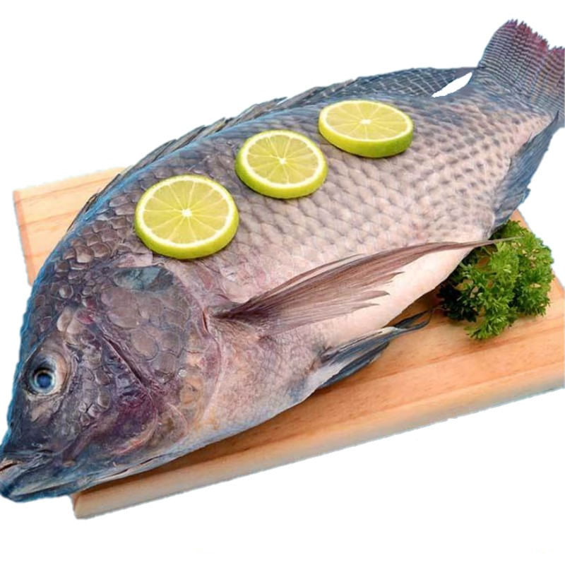 mojarra-negra-x-500-g-lb4787