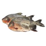 cachama-x-500-g-lb4759