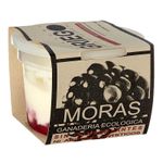 yogurt-griego-dejamu-dulce-mora-x-160-g-7707365170289