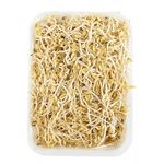 raiz-china-bandeja-tipo-2-x-150-g-7707309090017
