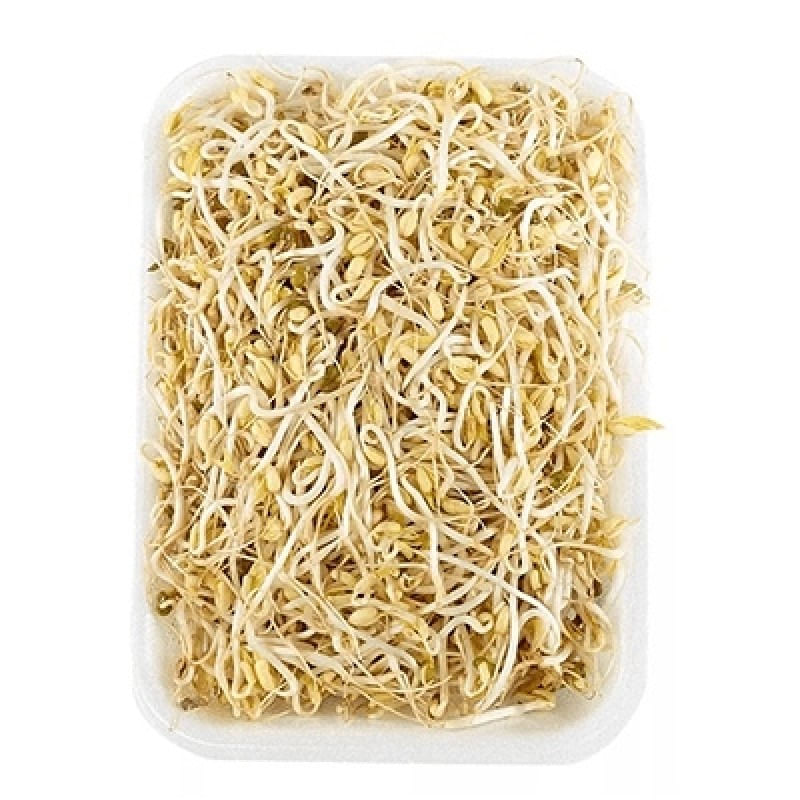 raiz-china-bandeja-tipo-2-x-150-g-7707309090017