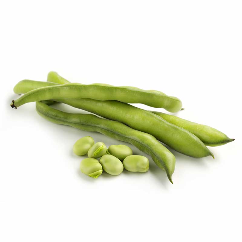 friijol-verde-en-cascara-x-500-g-lb3805
