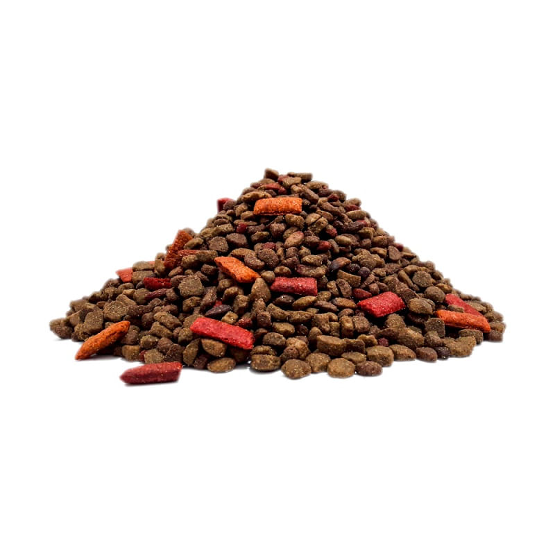 alimento-chunky-cachorro-x-500-g-LB26259