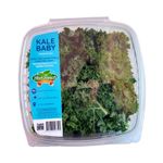 kale-baby-hortifresco-x-150-g-7700934003100