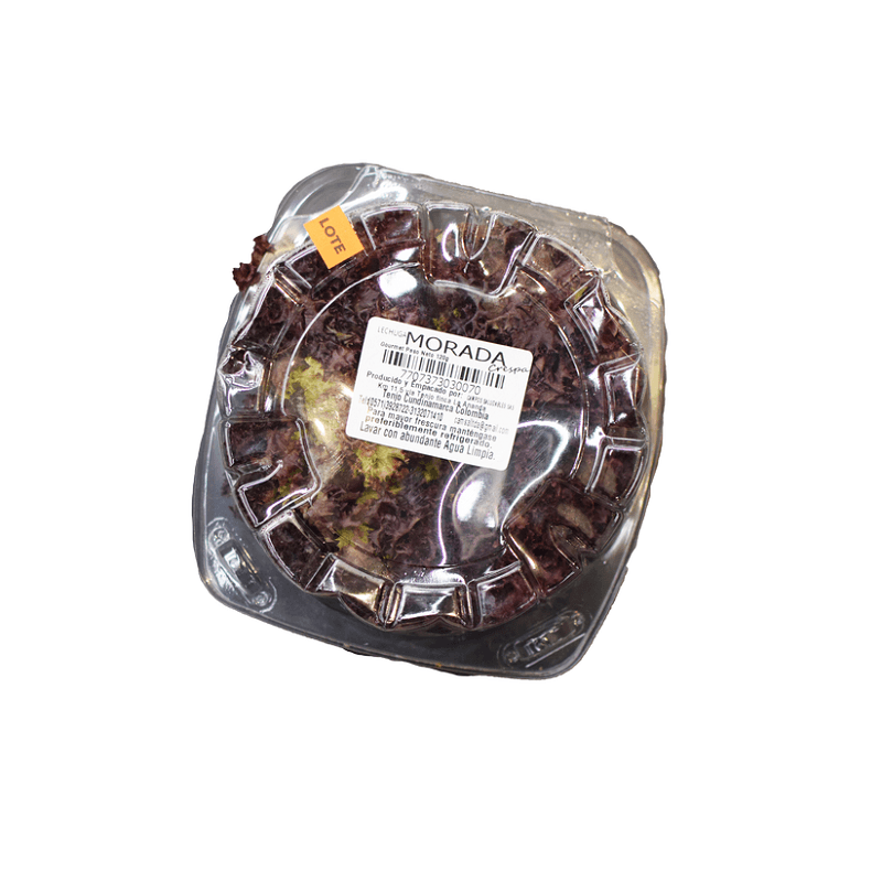 lechuga-morada-gourmet-camsal-x-120-g-7707373030070