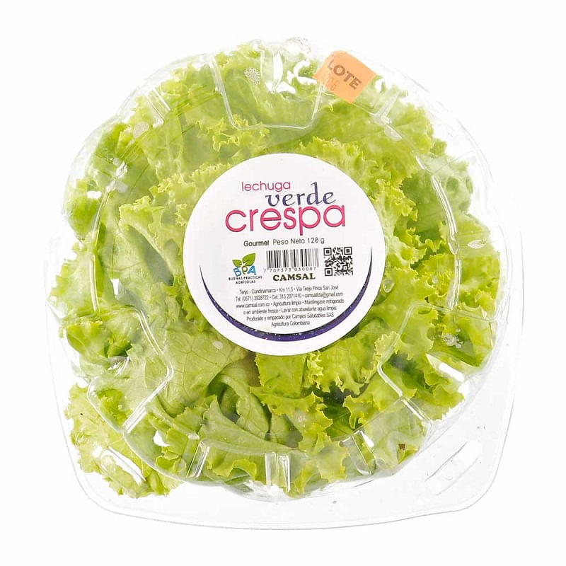 lechuga-verde-crespa-x-120-g-7707373030087