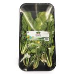 rugula-hortifresco-bandeja-x-150-g-7700934000093