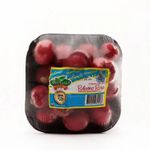 rabano-hortifresco-bolsa-de-limon-x-250-g-7700934000086