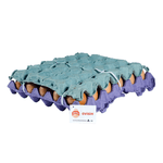 huevos-avisin-tipo-a-amarrados-x-30-unds-7707206870279