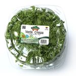 lechuga-crespa-verde-hortifresco-x-130-g-7700934000116