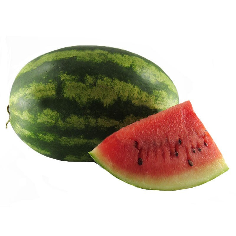 patilla-x-500-g-lb3945