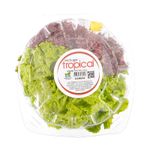lechuga-tropical-camsal-gourmet-x-120-g-7707373030056