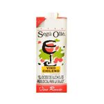 vino-segu-olle-rosado-x-750-cm3-7804321091234